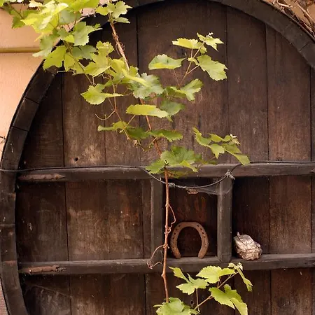 A La Maison De Marie Gueberschwihr